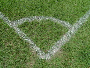 MILAN体育-中国足球角球效果统计评估,足球角球数据统计网站