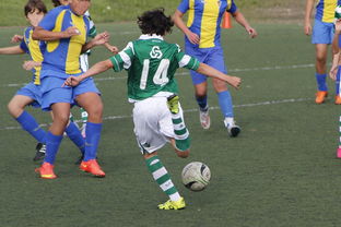 米兰平台-中国足球赛事直播流量与关注度指数追踪，中国足球关注度数据