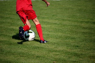 米兰体育app下载安装-意甲青训项目加入比赛情绪识别系统提升抗压反应,意甲本队青训