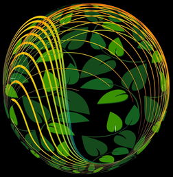 米兰体育APP下载-未来青训：生态系统构建助推足球强国梦，足球生态系统建设